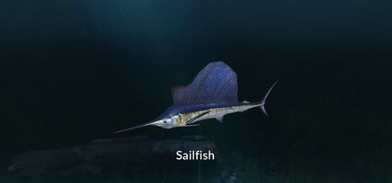 Ultimate-Fishing-Simulator-New-Fish-Species-CODEX-Free-Download-1-OceanofGames4u.com_