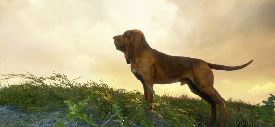 theHunter Call of the Wild Bloodhound CODEX-Free-Download-1-OceanofGames4u.com