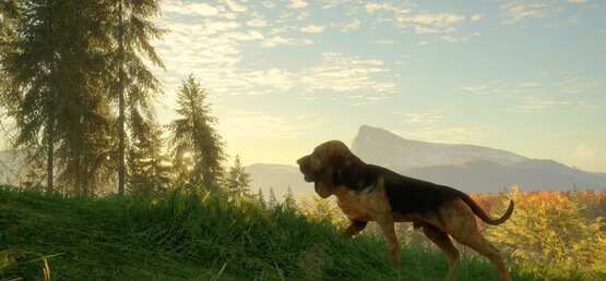 theHunter Call of the Wild Bloodhound CODEX-Free-Download-4-OceanofGames4u.com