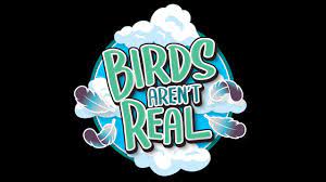 Birds Arent Real TENOKE Free Download
