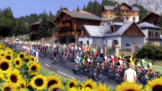 Pro Cycling Manager 2015 Free
