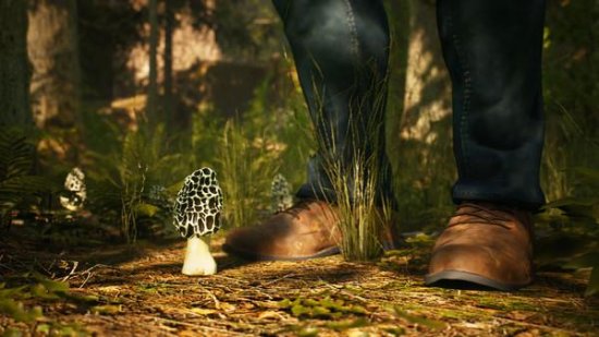 Morels The Hunt Spring PLAZA Download